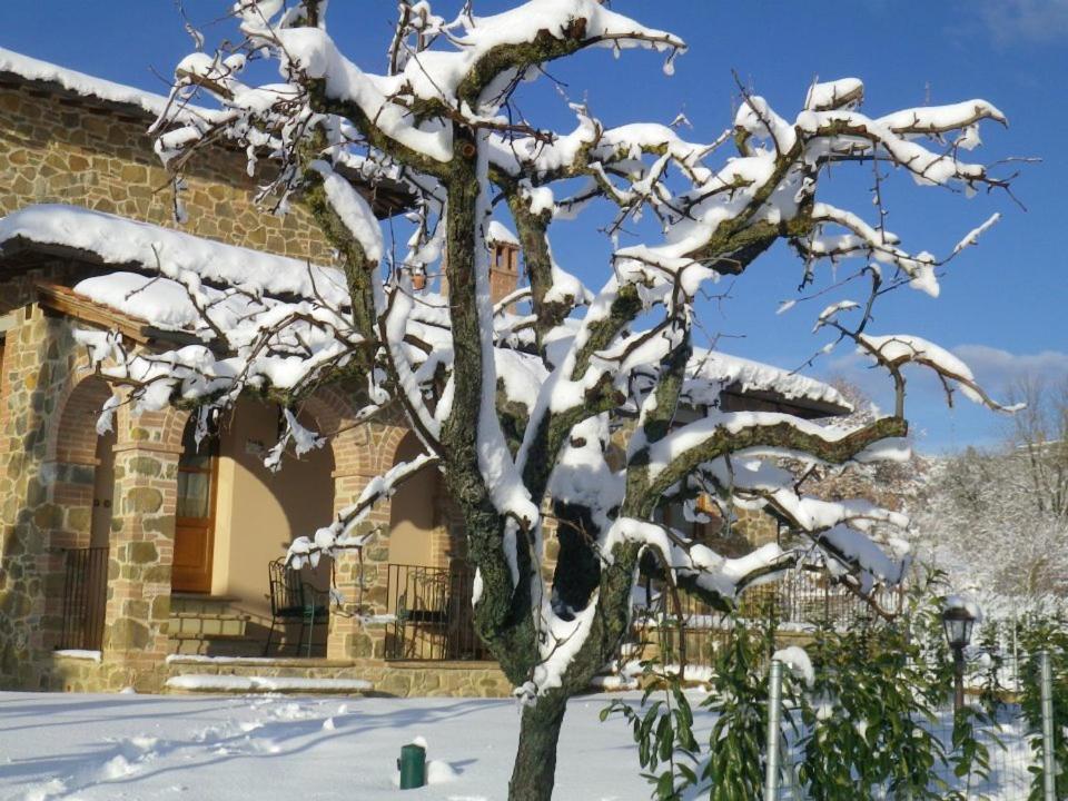 Agriturismo Casal Gheriglio Lucignano Luaran gambar